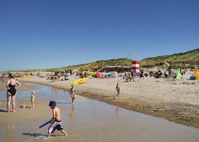 Apartment In With Wifi