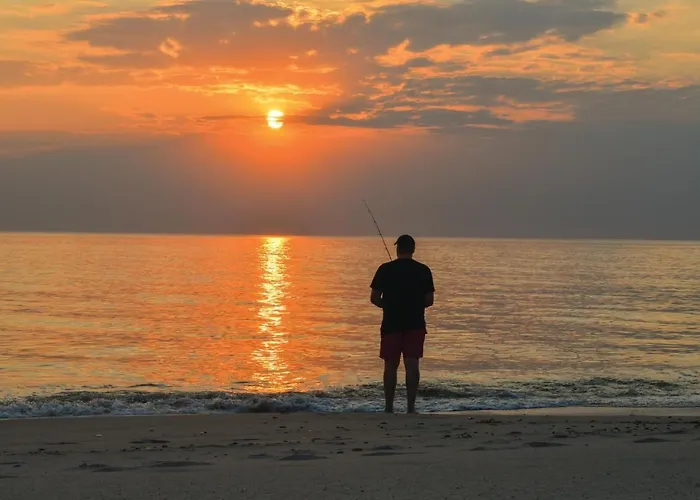 Apartment In With Wifi